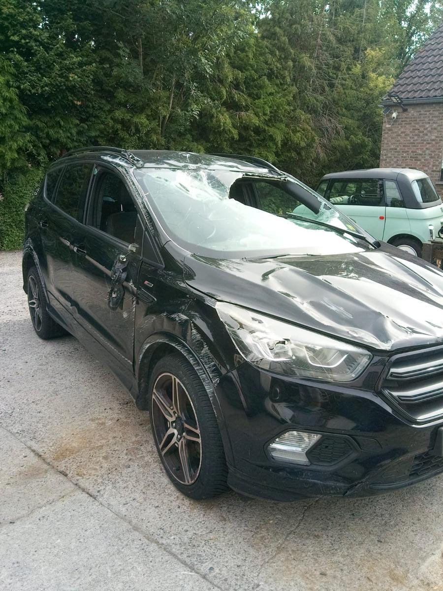 Ford Kuga 1,5 TDCi 4x2 88kW ST-Line