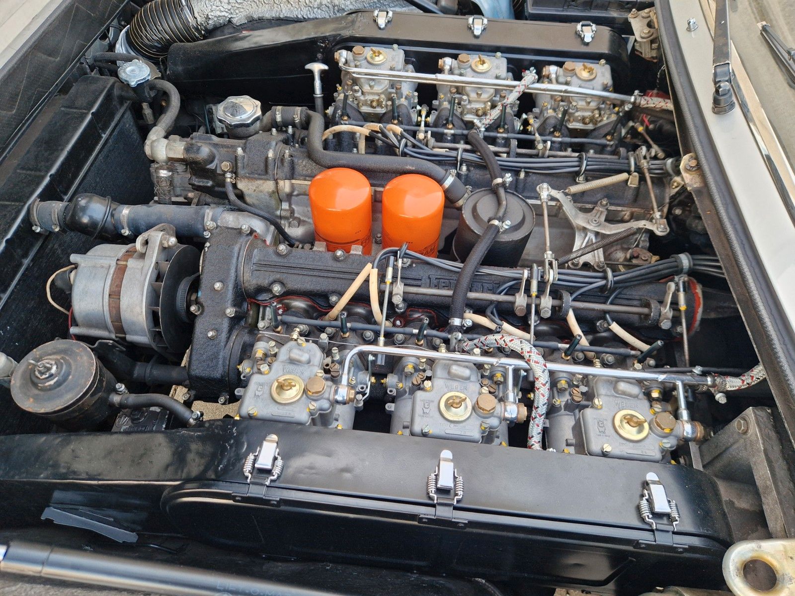 Fahrzeugabbildung Ferrari 365 GT/4 2+2 *GTC Motor*