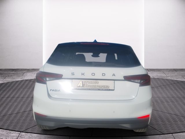 Fahrzeugabbildung SKODA Fabia 1.0 TSI Tour WINTER PLUS BEHEIZBARES MFL