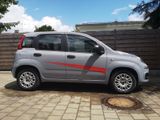 Fiat New Panda 1.2 - Fiat New Panda von privat
