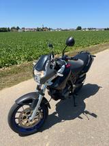 Aprilia Pegaso Strada 650 A2 (kein Honda Yamaha Susuki) - APRILIA PEGASO 650