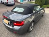 BMW 218i Cabrio Sport Line Sport Line - BMW mit Benzin-Antrieb: Alcantara, Cabrio