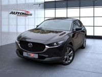 Mazda CX-30 - Vorschau Bild 2