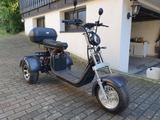 Andere Coco Bike CP-3 Elektro-Trike 2000W schwarz - Angebote