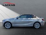 BMW 220 CABRIO 220 d*NAVI*KAMERA*LEDER - BMW 220: D