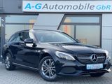 Mercedes-Benz C 220 T -Modell BlueTec-Avantgarde-AMG-Grill-AHK - Mercedes-Benz: Grill