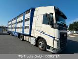 Volvo FH 460 Mega mit Finkl 3 Stock LOF möglich - Radlader