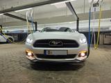 Ford Mustang 2.3 EcoBoost, Sonderdmodell 50 Years Ed. - Ford in Berlin