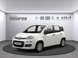 Fiat Panda PANDINA Hybrid 70 PS, Gelato Weiß, Klima,  - Fiat Panda Pandina mit Hybrid-Antrieb (Benzin/Elektro)