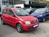 Fiat Panda 1.2 8V Dynamic Klima - gebrauchte Fiat Panda aus dem Jahr 2007