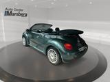 Volkswagen Beetle Cabrio 1.6 Highline Windschott Sitzheizun - gebrauchte VW Beetle aus dem Jahr 2003