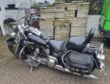 Harley-Davidson FXST FLSTC FLSTF FLSTN - HARLEY-DAVIDSON 1995