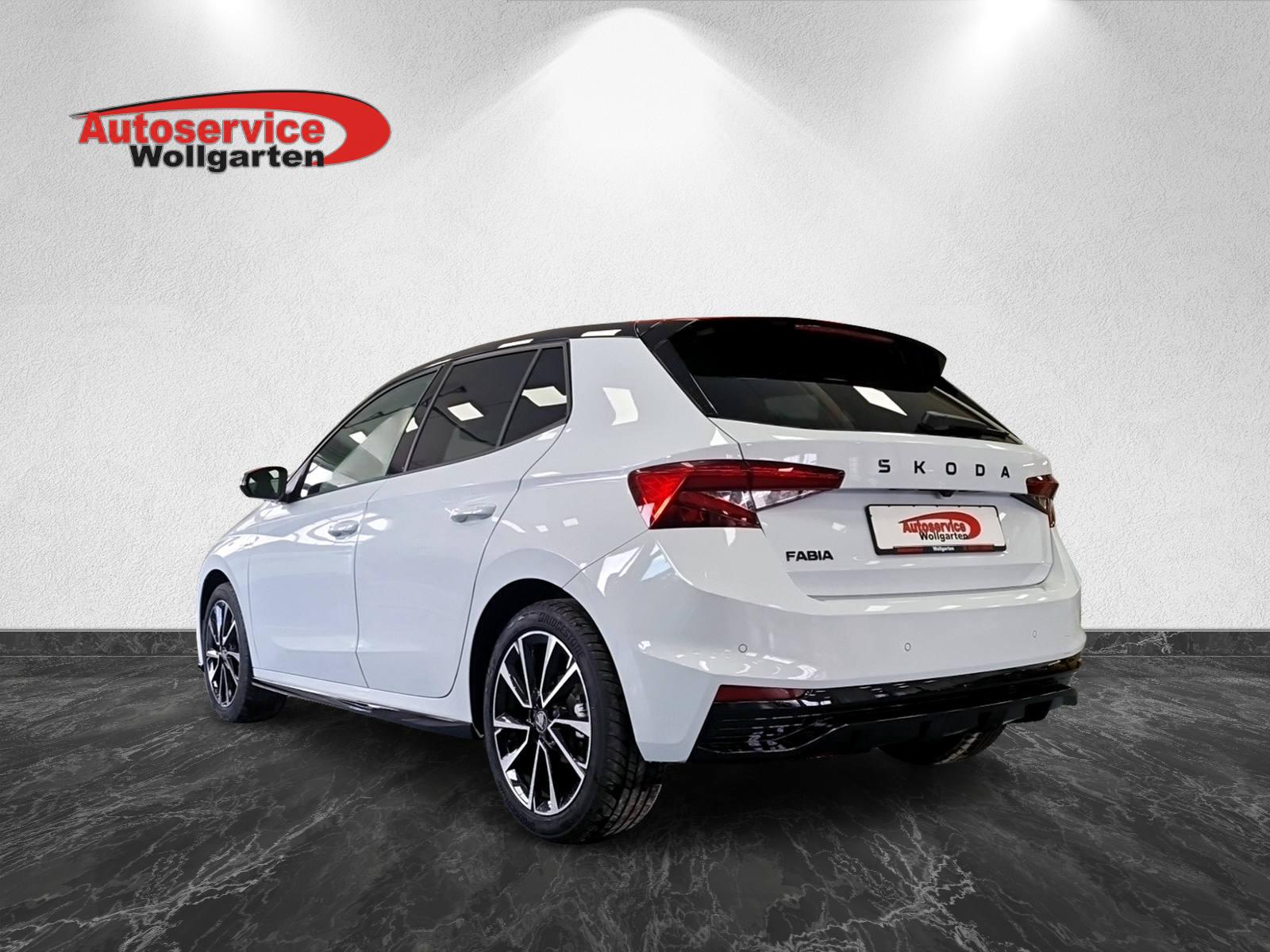 Skoda Fabia Monte Carlo DSG Navi Kessy SHZ RFK 17"