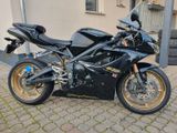 Triumph Daytona 675 SE - TRIUMPH 675 DAYTONA
