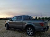 Ford F 150 5.0 V8 - Ford F 150