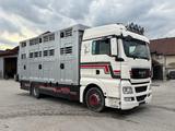 MAN TGX - Angebote