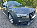 Audi A5 Cabriolet 3.0 TDI Clean disel quattro - Audi A5: Cabrio, 3.0