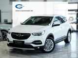 Opel Grandland X 2.0d Bus.Innovation 360K 18LM LEDER - Opel Grandland (X) in Nürnberg