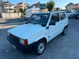 Fiat FIAT PANDA YOUNG 900 i.e. BENZINA 39CV ANNO 2000 - gebrauchte Fiat Panda aus dem Jahr 2000