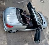 Peugeot 206 Cabriolet CC Quiksilver/Tüv+Insp. neu - Peugeot 206: Quiksilver