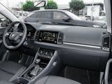 Skoda Karoq 1.5 TSI DSG Selection Plus - Skoda in Rheine