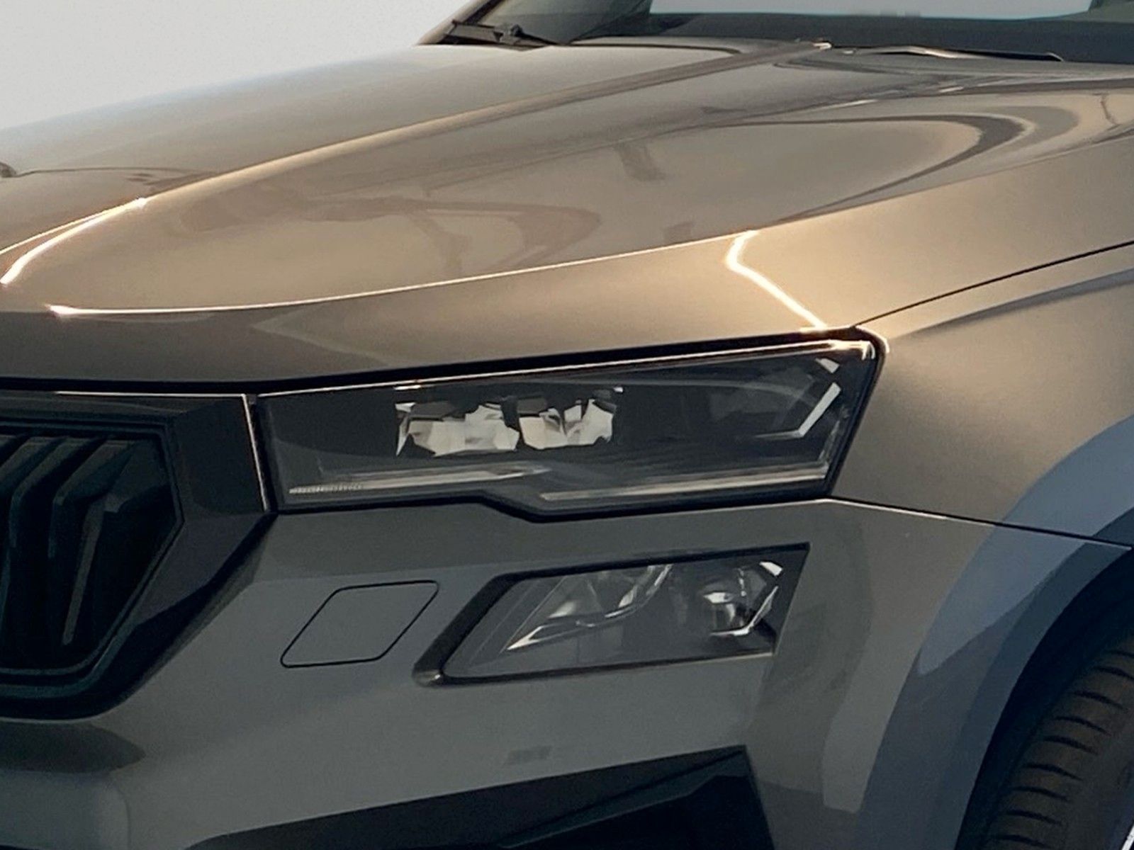 Skoda Karoq - Bild 6