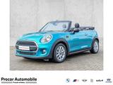 MINI One Cabrio Klima+SHZ+DAB+PDC+Windschutz+Lichpake - MINI One Cabrio: Roadster