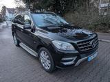Mercedes-Benz ML 350 BlueTEC 4MATIC - - Mercedes-Benz ML 350 Gebrauchtwagen in Stuttgart