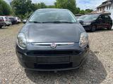 Fiat Punto Evo MyLife - scheckheftgepflegte Fiat Punto Evo