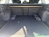 Skoda Octavia - Vorschau Bild 7