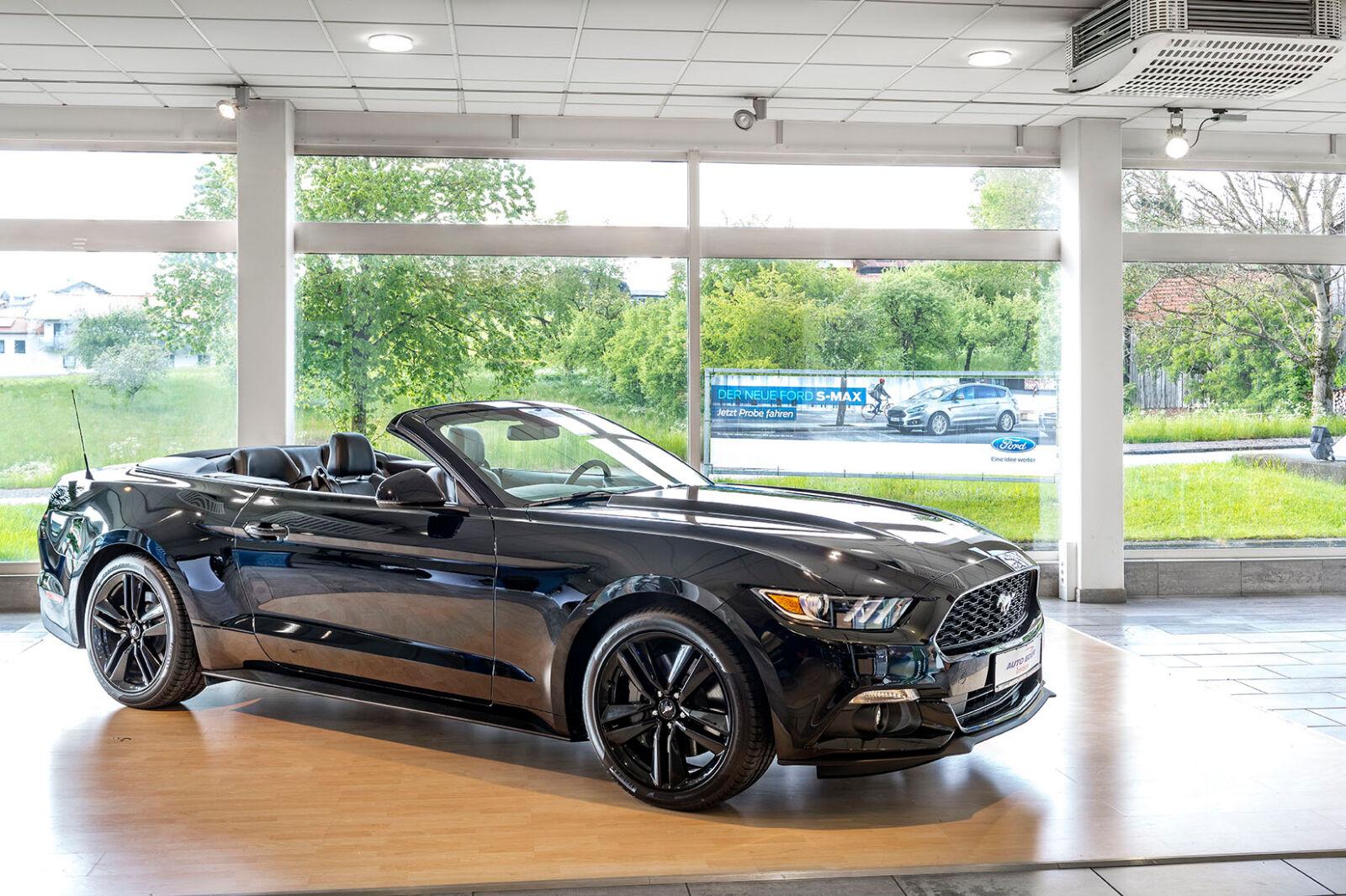 showroom-image-top