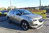 Opel Grandland X 1.2 Turbo ECOTEC Innovation ***12M G - mit Benzin-Antrieb: Beige, Vollleder, Scheckheftgepflegt, Geländewagen