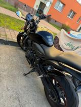 Honda Hornet PC 41 - Angebote