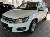 Volkswagen 1.Hand Tiguan Trend & Fun BMT *Voll Scheckheft - Volkswagen Tiguan mit Benzin-Antrieb: Limousine