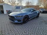 Ford Mustang 2.3 EcoBoost/Coupe/BEST PRICE! - gebrauchte Ford Mustang aus dem Jahr 2024
