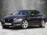 Jaguar XF 20d AWD Aut. Prestige - Jaguar XF in Frankfurt (Main)