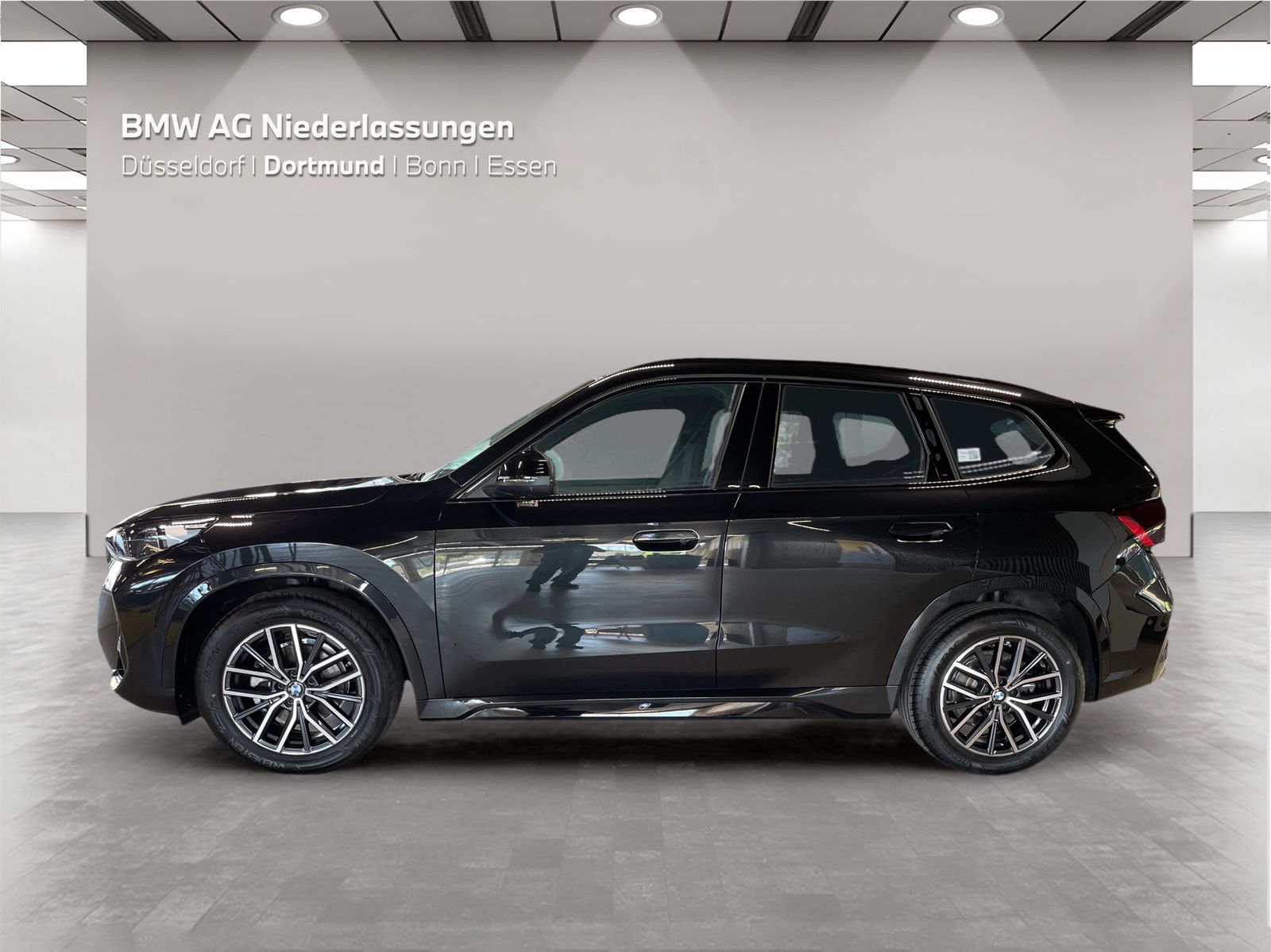 BMW X1 xDrive20d M Sport AHK Driv.Assist.Prof LED foto 5