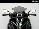 Kawasaki Ninja 1000 SX Perfomance Tourer - Offers matching your search criteria
