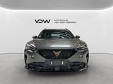 Cupra Formentor VZ Tribe Edition 2.0 TSI Pano Klima - Cupra Formentor mit Benzin-Antrieb: Sportwagen