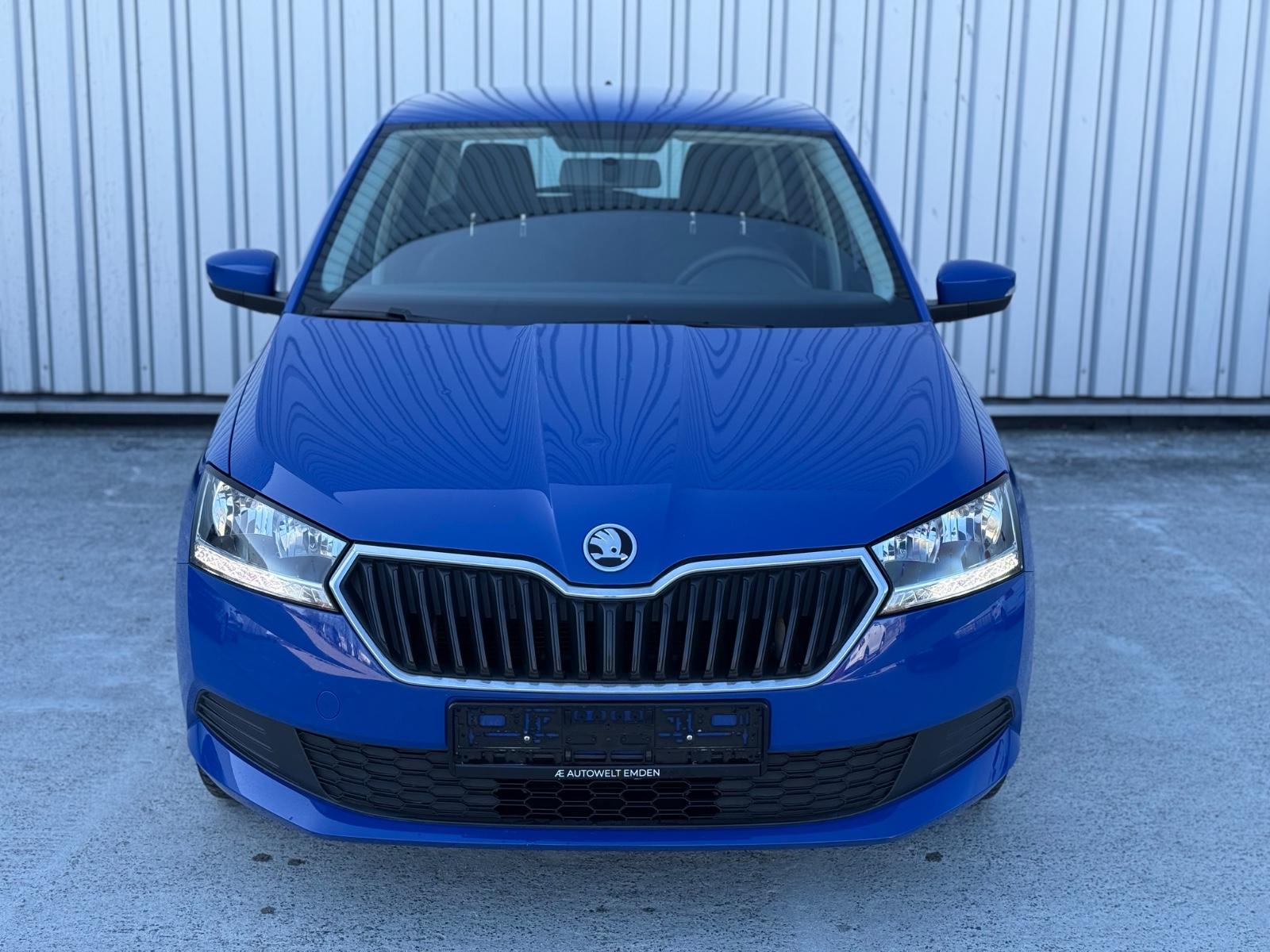 Skoda Fabia Cool Plus Klima/DAB/TüvNeu