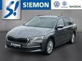 Skoda Octavia Combi TDI DSG Selection AHK MatrLED 360°