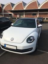 Volkswagen Beetle 2.0 TDI BMT CUP CUP