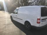 Volkswagen Caddy Maxi - Volkswagen Caddy Maxi in Mannheim