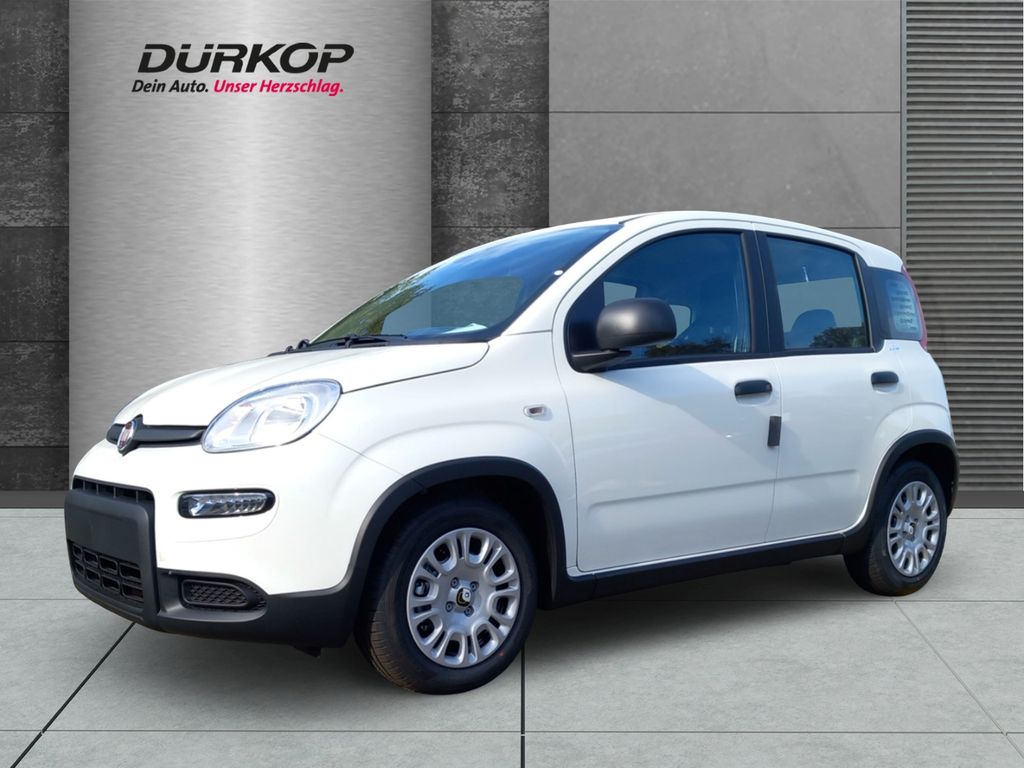 Fiat Panda Pandina Mild Hybrid 1.0 GSE City Paket DAB