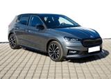 Skoda Fabia Monte Carlo Top-Ausstattung Blidspot + ACC - Skoda Fabia: Ausstattung