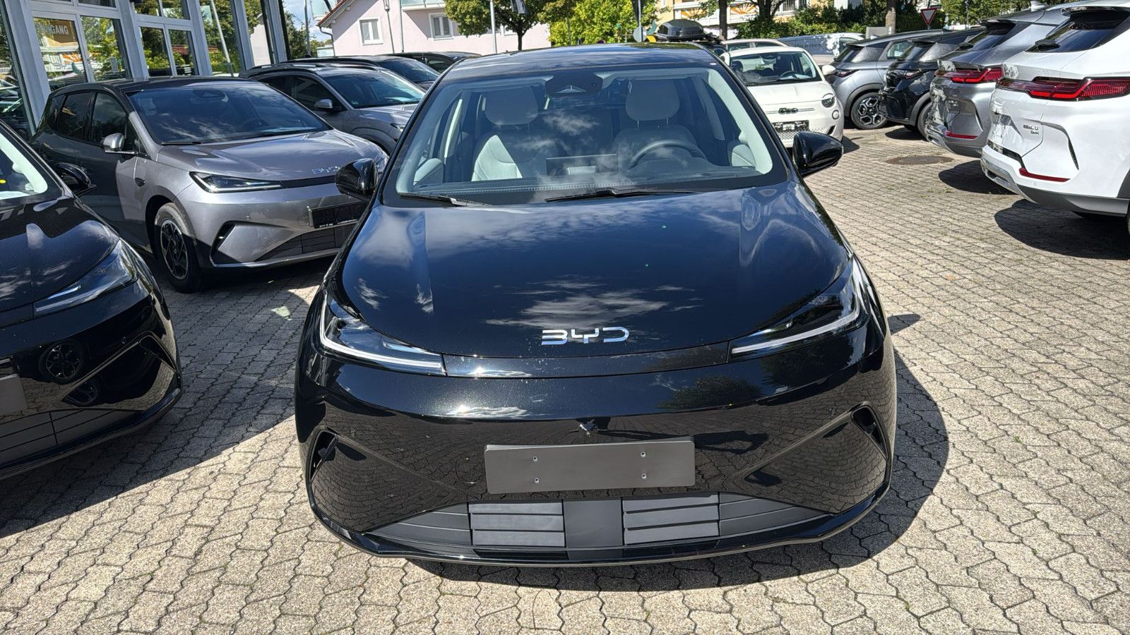 BYD DOLPHIN
