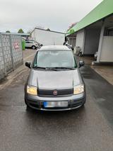 Fiat Panda im Unikat Zustand - Fiat Panda Gebrauchtwagen in Mannheim
