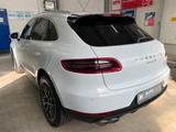 Porsche Macan S Diesel/PANO/STANDHZG/PASM/BI-XENON/LEDER - Porsche Gebrauchtwagen in Münster