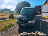 Mercedes-Benz Mercedes Sprinter - Mercedes-Benz Sprinter mit CNG-Antrieb