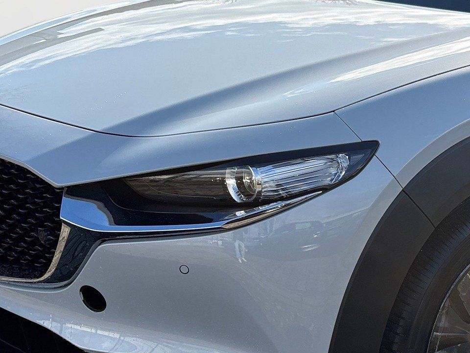 Fahrzeugabbildung Mazda CX-30 X 2.0i 186PS A/T Homura